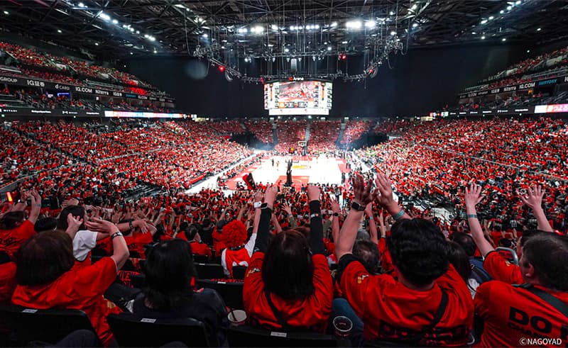 ドルフィンズ写真069